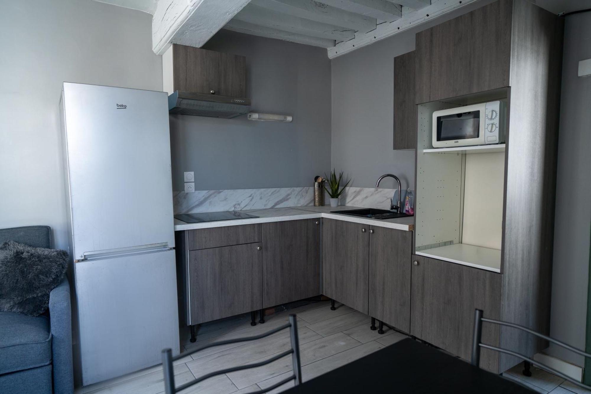 Celeste Appart - Grand Appartement Centre Ville - Refait A Neuf Orléans Dış mekan fotoğraf